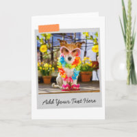 Jack Russell Encantado Card