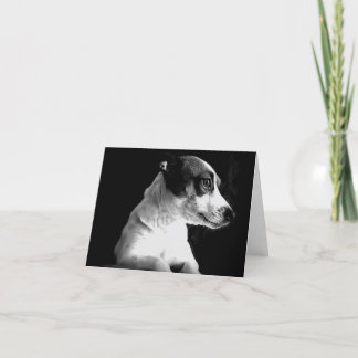Cartão Jack Russell in thought