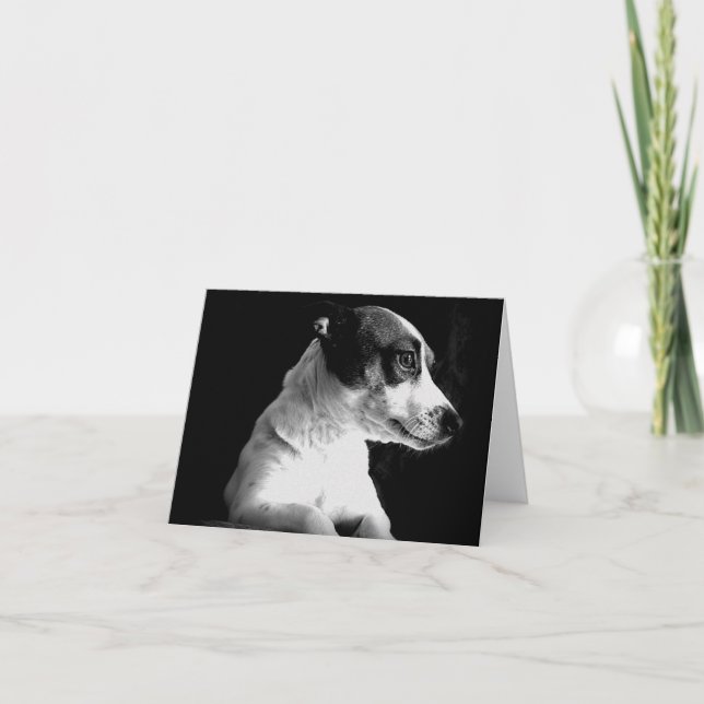 Cartão Jack Russell in thought (Frente)