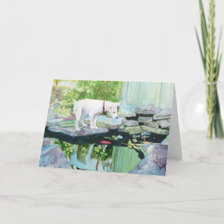 Cartão Jack Russell Terrier #1 Greeting Cards