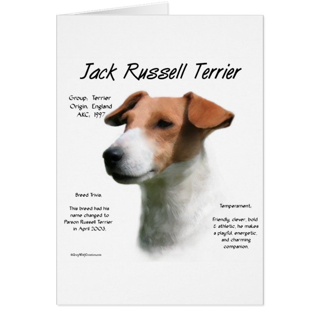Cartão Jack Russell Terrier History (Frente)