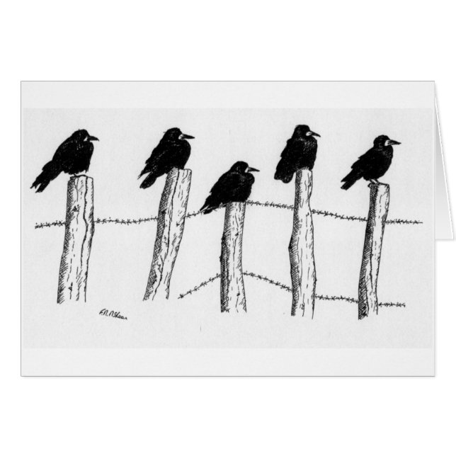 Cartão Jackdaws (Frente Horizontal)