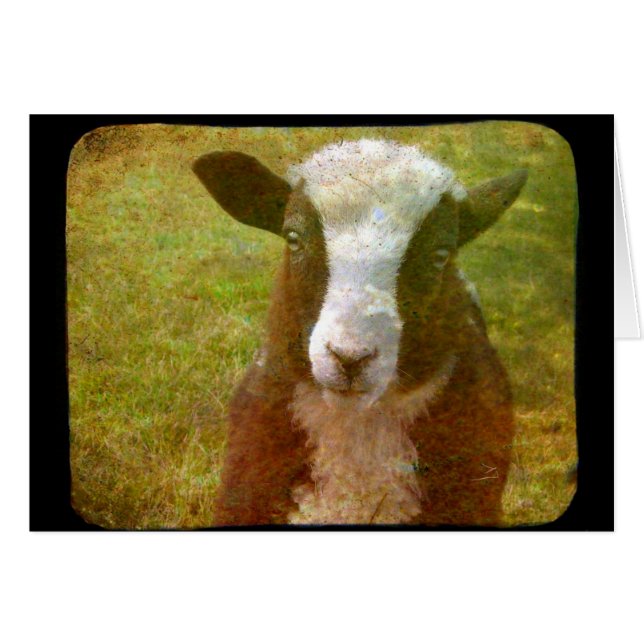 Cartão Jacob Lamb (Frente Horizontal)