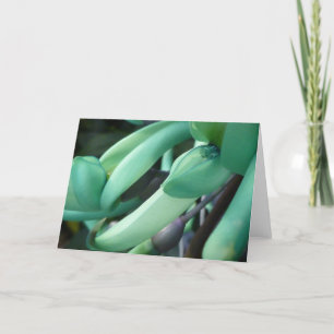 Cartão Jade Dream Greeting Card