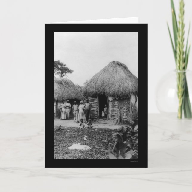 Cartão Jamaica Tobacco Plantation 1896 (Frente)