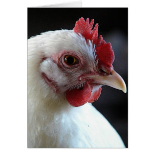 Cartão Jane simples