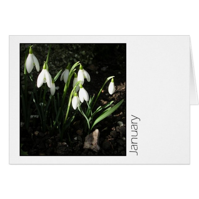 Cartão Janeiro (Frente Horizontal)