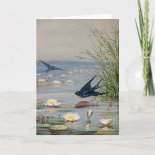 Cartão Janeiro   Fidelia Bridges