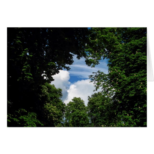 Cartão Janela Árvore (Frente Horizontal)