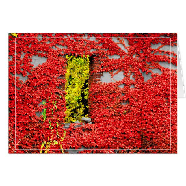 Cartão Janela de Bannerman (Frente Horizontal)