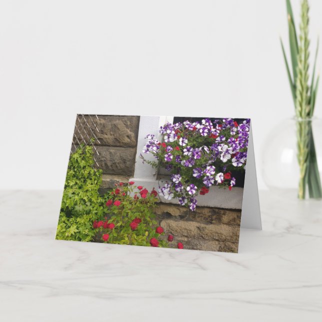Cartão Janela escocesa de algodão com petúnias e rosas (Frente)