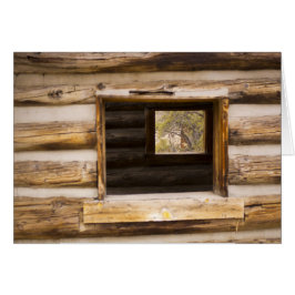 Cartão Janela Por Cima e Através da Cabina