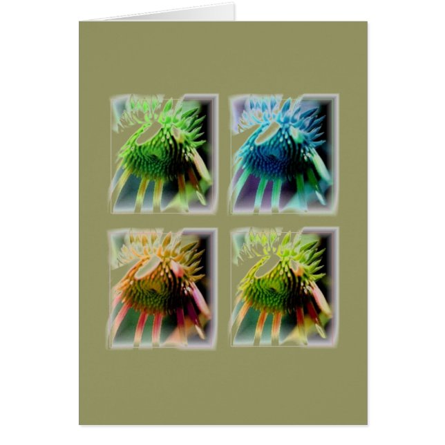 Cartão Janelas do Crescimento da Echinecea (Frente)