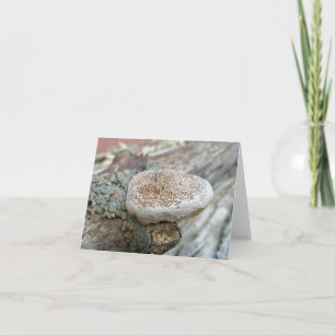 Cartão January Little Puffy Porous Shelf Fungus Note Card