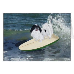 Cartão Japanese Chin Surfando