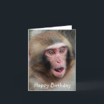 Cartão Japanese Macaque Monkey Birthday Card<br><div class="desc">A beautiful photograph of a Japanese Macaque Monkey with baby by the photographer Dave Fletcher</div>