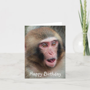 Cartão Japanese Macaque Monkey Birthday Card