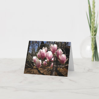Cartão Japanese Magnolia Note Card