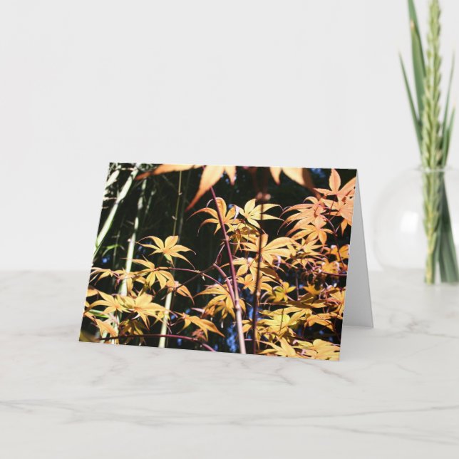Cartão Japanese Maples 5 Floral Photography HGC (Frente)