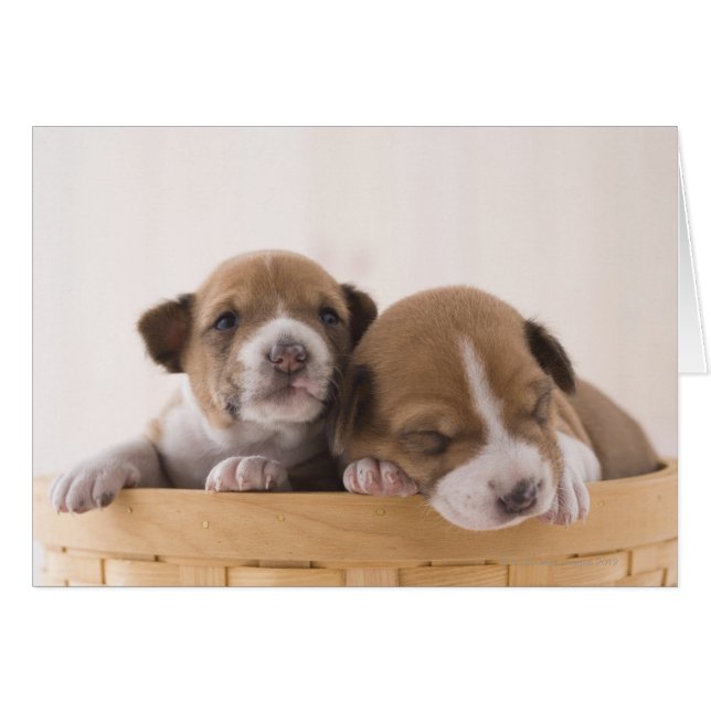 Cartão Japão (Frente Horizontal)