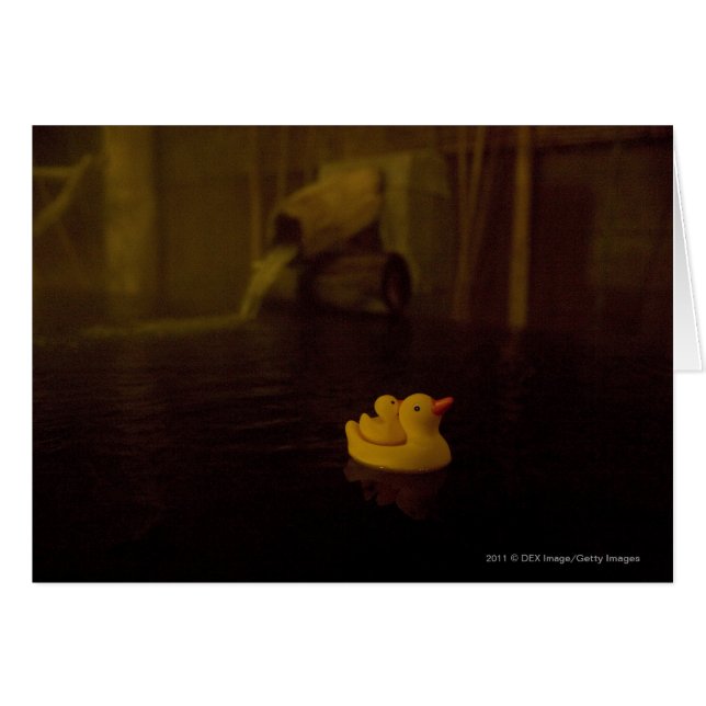 Cartão Japão (Frente Horizontal)