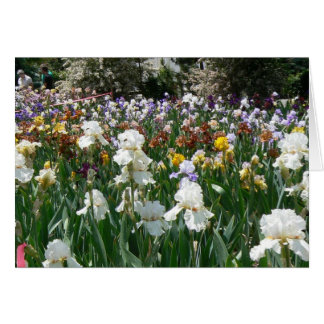 Cartão Jardim 4 da íris