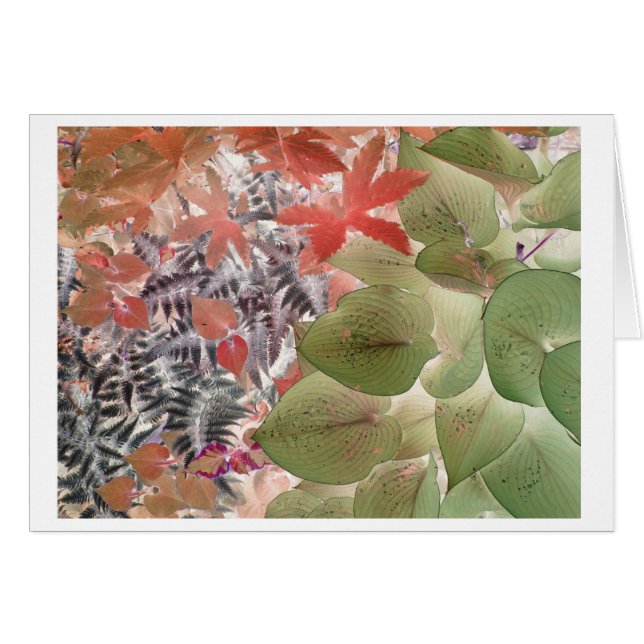 Cartão Jardim 9 (Frente Horizontal)