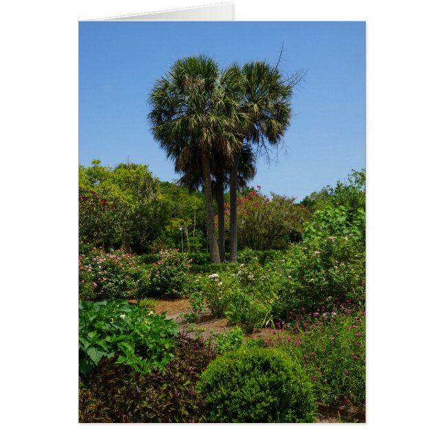 Cartão Jardim Boone Hall (Frente)