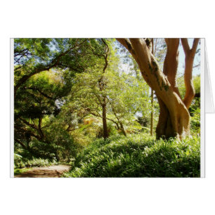 Cartão Jardim botânico de Wahiawa