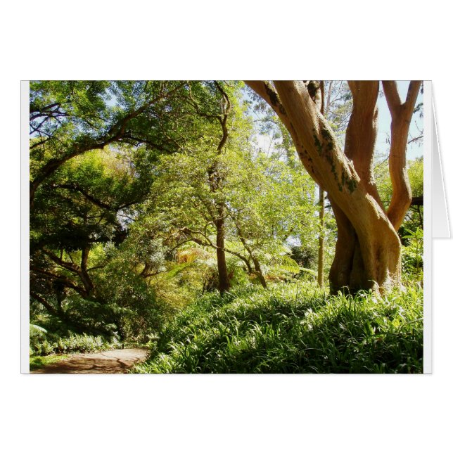 Cartão Jardim Botânico de Wahiawa (Frente Horizontal)