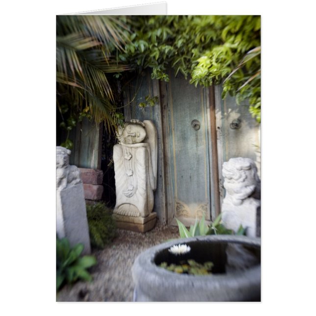 Cartão Jardim da iluminação (Frente)