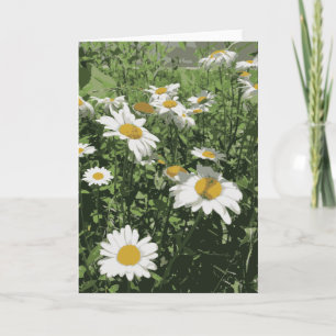 Cartão Jardim das Flores Comuns Branco E Amarelo