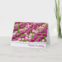 Jardim das Tulipas de Aniversário