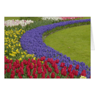 Cartão Jardim de tulipas, jacintos e narcisos,