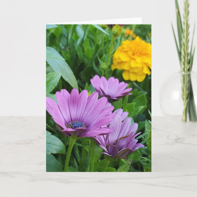 Cartão Jardim de Verão (Frente)