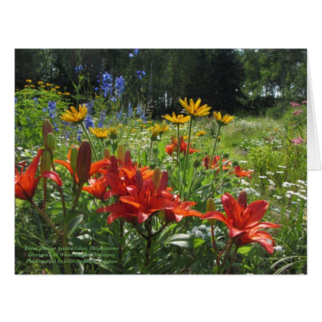 Cartão Jardim de Verão Atrasado Colorido (Frente horizontal)