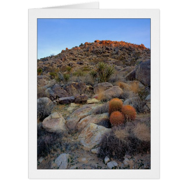 Cartão "Jardim do Alto Deserto" (Frente)