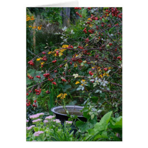 Cartão Jardim do outono