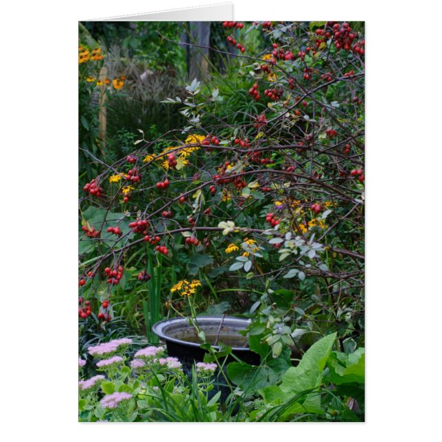 Cartão Jardim do outono (Frente)