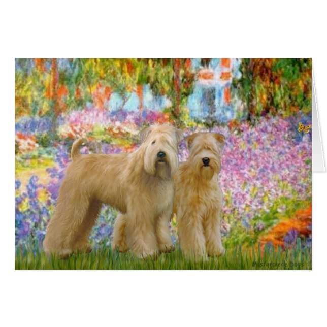 Cartão Jardim - Dois Terriers Wheaten (Frente Horizontal)