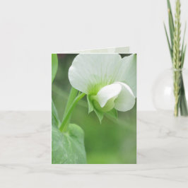 Cartão Jardim Notecard para qualquer ocasião