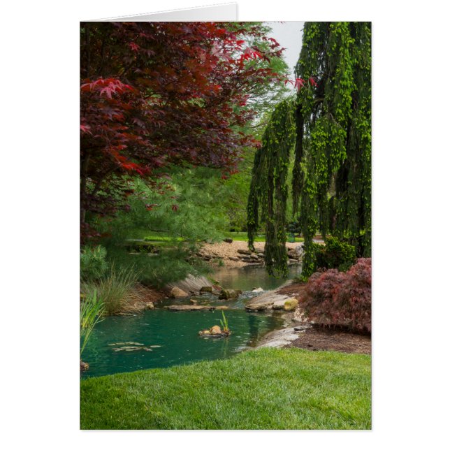 Cartão Jardim pacífico (Frente)