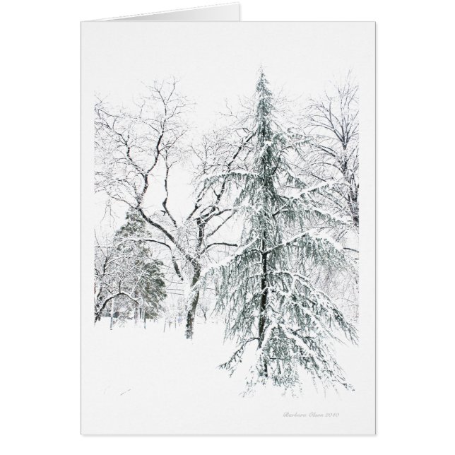 Cartão Jardim público de Boston (Frente)