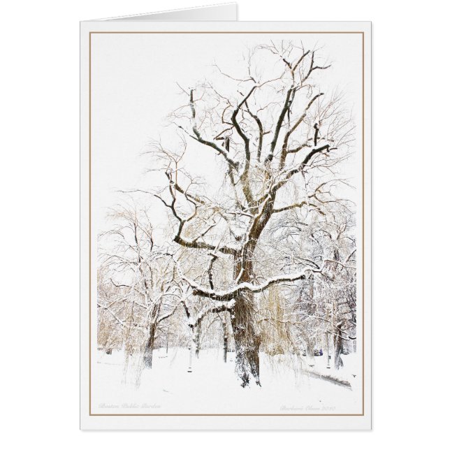 Cartão Jardim público de Boston (Frente)