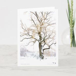 Cartão Jardim Público de Boston: adicionar a saudação