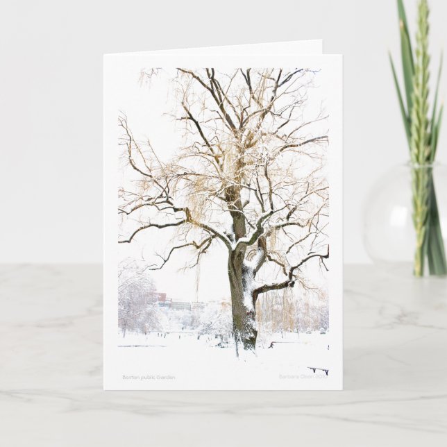 Cartão Jardim Público de Boston: adicione sua saudação (Frente)