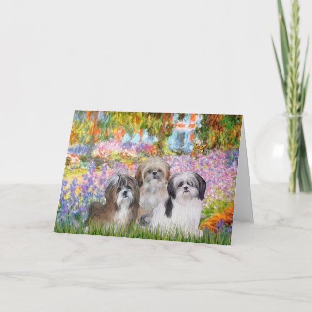 Cartão Jardim - Shih Tzus (três) (Frente)
