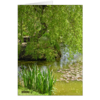 Cartão Jardin de Martel, France