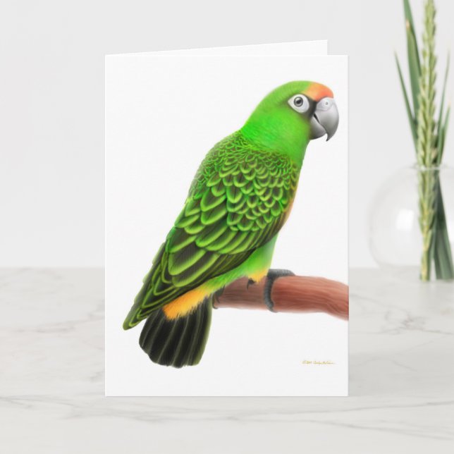 Cartão Jardines Parrot Greeting Card (Frente)
