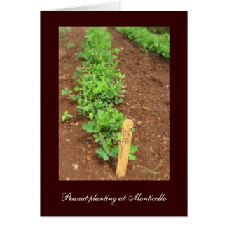 Cartão Jardins Vegetais de Monticello